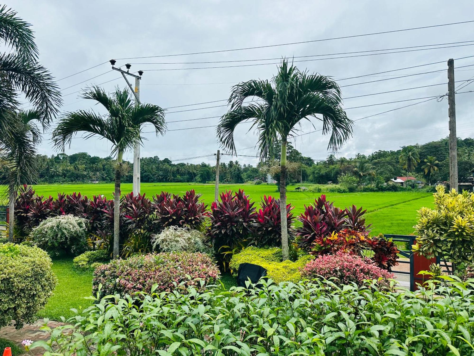 Ruwanara Royal Majestry Hotel Ambagahagedara Exterior foto