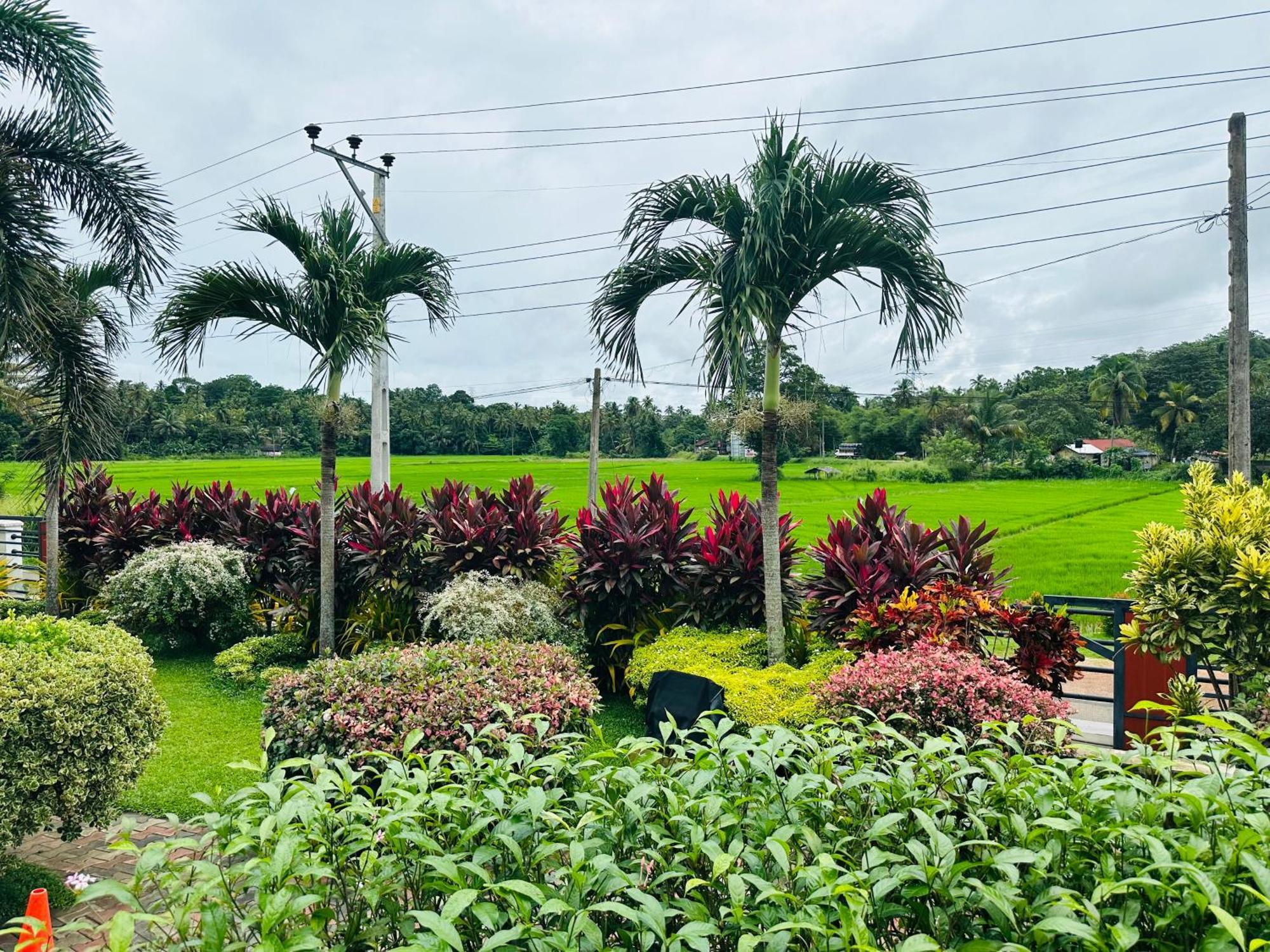 Ruwanara Royal Majestry Hotel Ambagahagedara Exterior foto